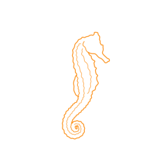 Animals Saltwater Fish Dwarf Seahorse Ink Drawing Svg Vector, Free Vectors File